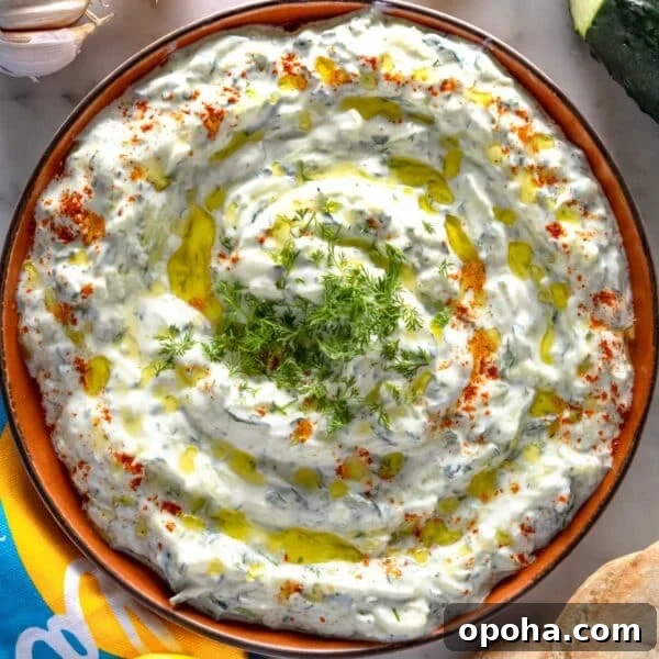 Creamy Whipped Ricotta Recipe: Quick Tips and Serving Ideas 9 Tzatziki with fresh dill.
