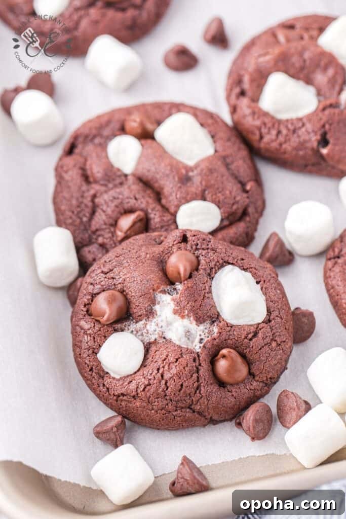 Hot Chocolate Cookies with Marshmallows