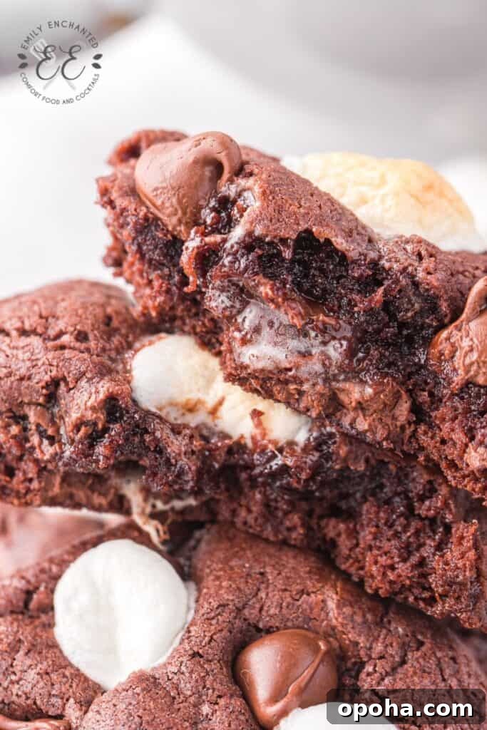Hot Cocoa Cookies