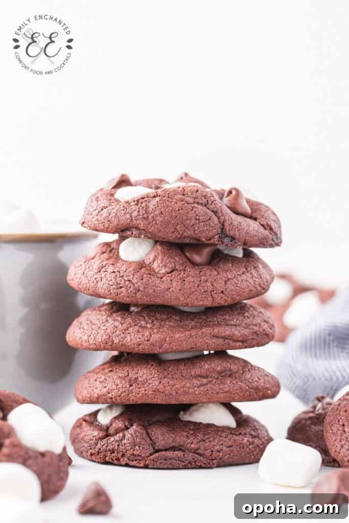 Marshmallow Chocolate Cookies