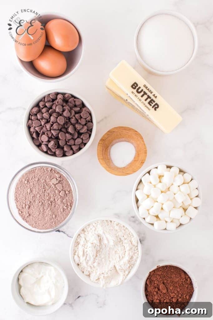 Hot Chocolate Cookie Ingredients