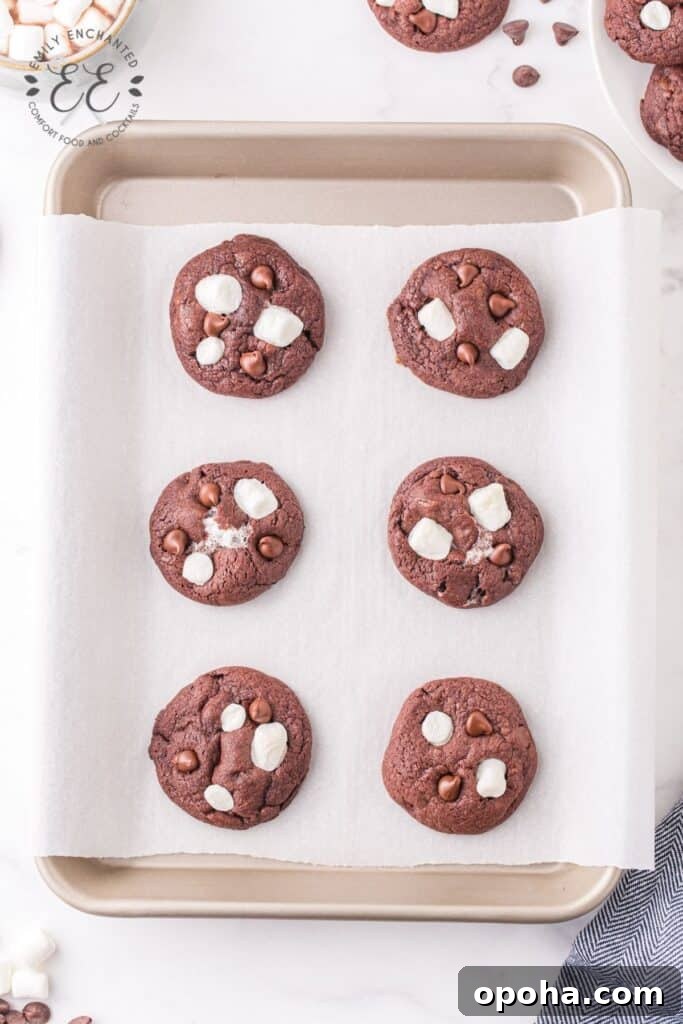 Marshmallow Cookies