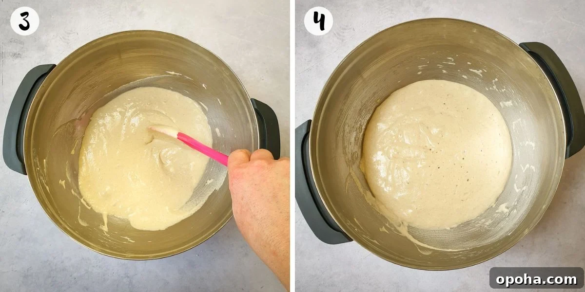mix batter and leave to rise