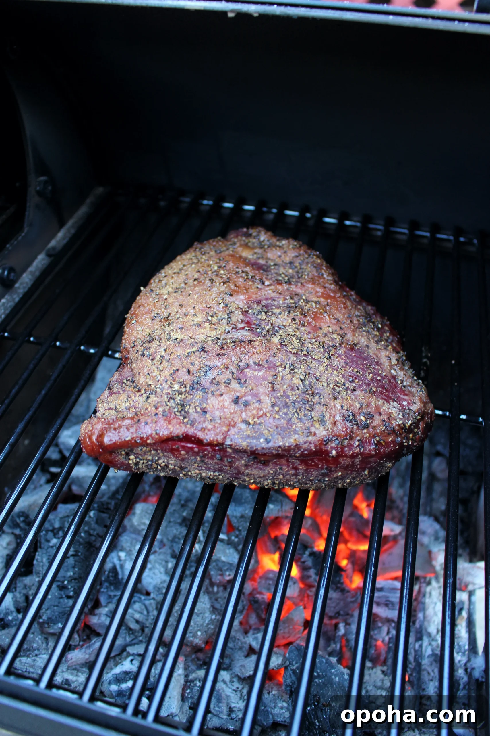 Smoked Picanha with Spicy Chimichurri Sauce 4 Smoked Picanha sitting over the coals so that it'll develop a nice crust.