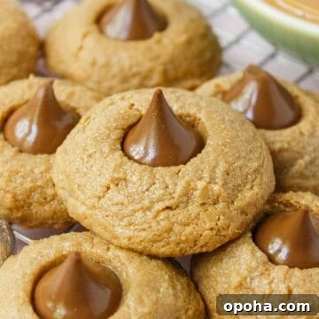 3-Ingredient Peanut Butter Blossom Cookies — Quick Holiday Treat 12 Peanut butter blossoms