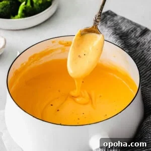 Creamy Cheddar Cheese Sauce Recipe for Smooth, Velvety Texture 2 Cheese Sauce for Broccoli