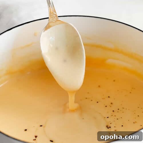 Creamy Cheddar Cheese Sauce Recipe for Smooth, Velvety Texture 4 A spoon is pouring a sauce into a pot.