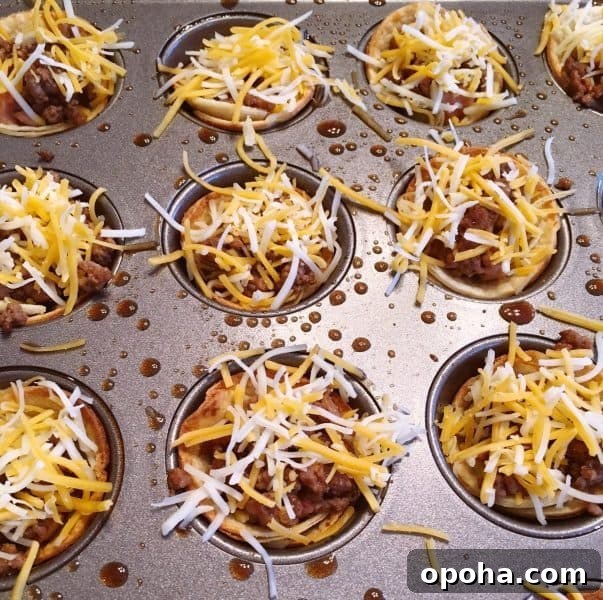 grated cheese on top of hamburger meat