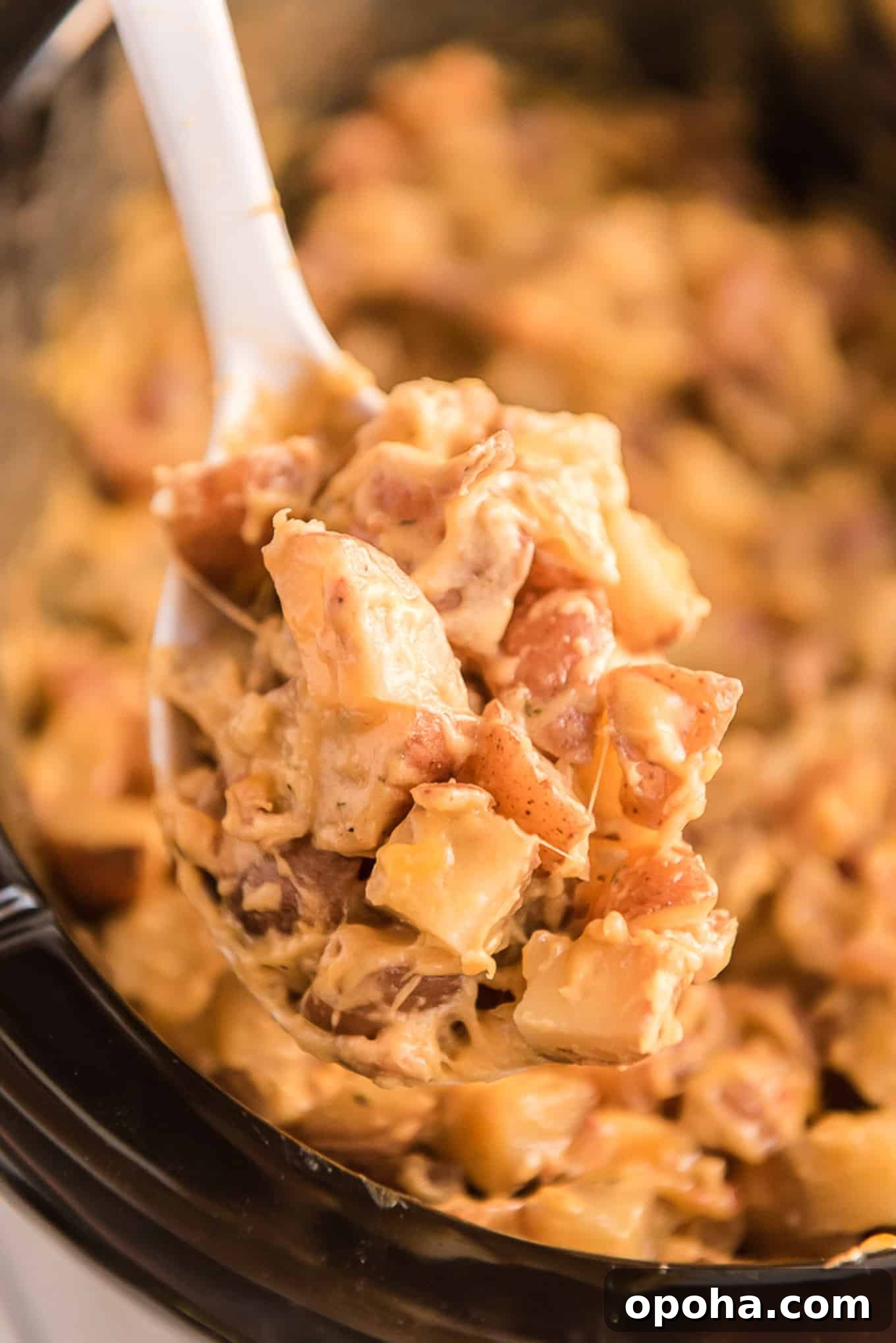 A spoonful of cheesy potatoes up over the pot.