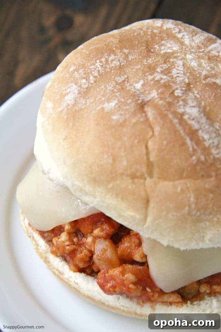 Ground chicken sloppy joes Italian style closeup of Italian Chicken Sloppy Joe