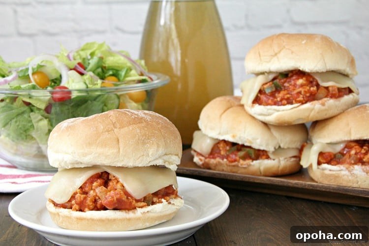 Homemade Italian Sloppy Joes recipe, best for a quick weeknight dinner Italian Sloppy Joe with salad and cider