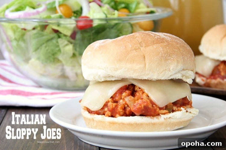 How to make Italian Sloppy Joes with ground chicken Italian Sloppy Joe with salad