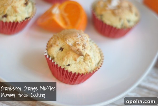 cranberry orange muffins cranberry orange muffins