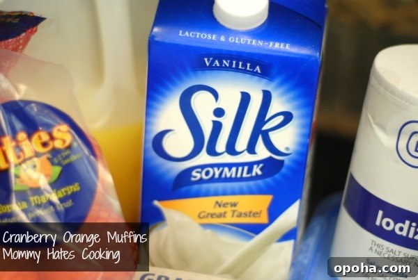 silk soy milk silk soy milk