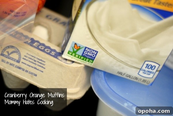 silk soy milk silk soy milk