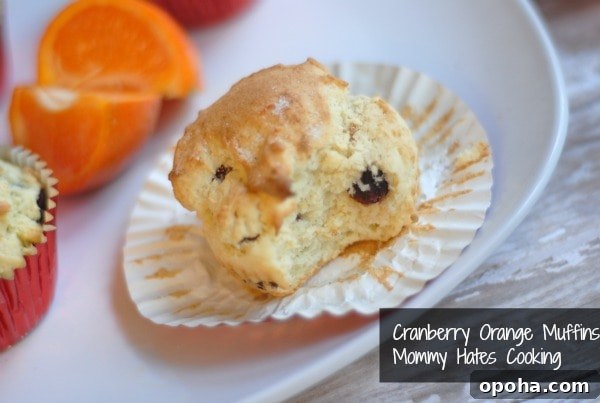 cranberry orange muffins cranberry orange muffins