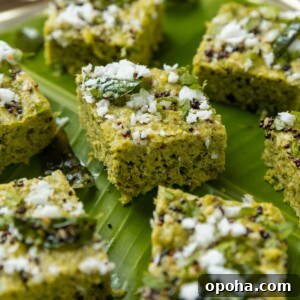 120+ Delicious Vegetarian Diwali Recipes to Try This Year 12 sprouts dhokla close up