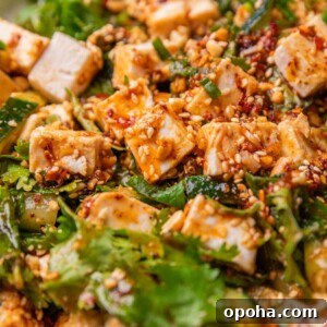 120+ Delicious Vegetarian Diwali Recipes to Try This Year 14 Asian cucumber salad to show its texture