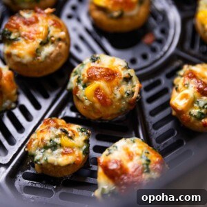 120+ Delicious Vegetarian Diwali Recipes to Try This Year 15 air fryer stuffed mushroom