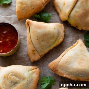 120+ Delicious Vegetarian Diwali Recipes to Try This Year 17 air fryer samosas served with ketchup