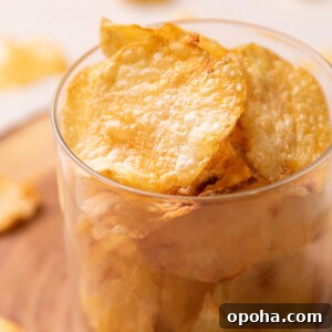 120+ Delicious Vegetarian Diwali Recipes to Try This Year 19 air fryer potato chips