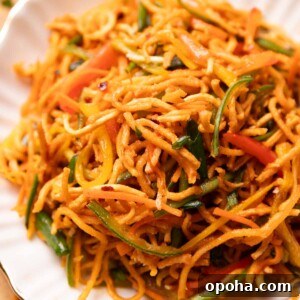 120+ Delicious Vegetarian Diwali Recipes to Try This Year 22 chinese bhel close up
