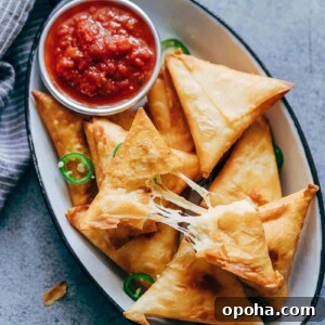 120+ Delicious Vegetarian Diwali Recipes to Try This Year 29 Jalapeno three cheese samosa close up