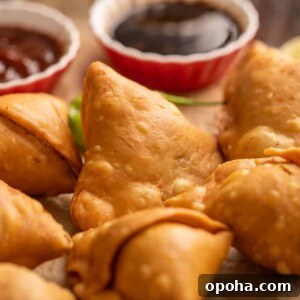 120+ Delicious Vegetarian Diwali Recipes to Try This Year 33 perfect golden brown samosa