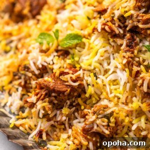 120+ Delicious Vegetarian Diwali Recipes to Try This Year 43 jackfruit biryani garnished with mint leaves