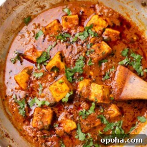 120+ Delicious Vegetarian Diwali Recipes to Try This Year 45 Dhaba style paneer masala