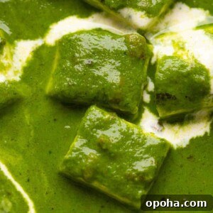 120+ Delicious Vegetarian Diwali Recipes to Try This Year 59 palak paneer gravy close up