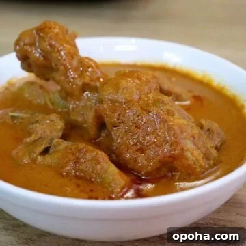 chicken xacuti curry served in white bowl.