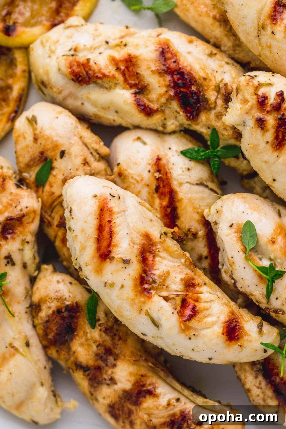 Close up of grilled chicken tenders and fresh thyme leaves