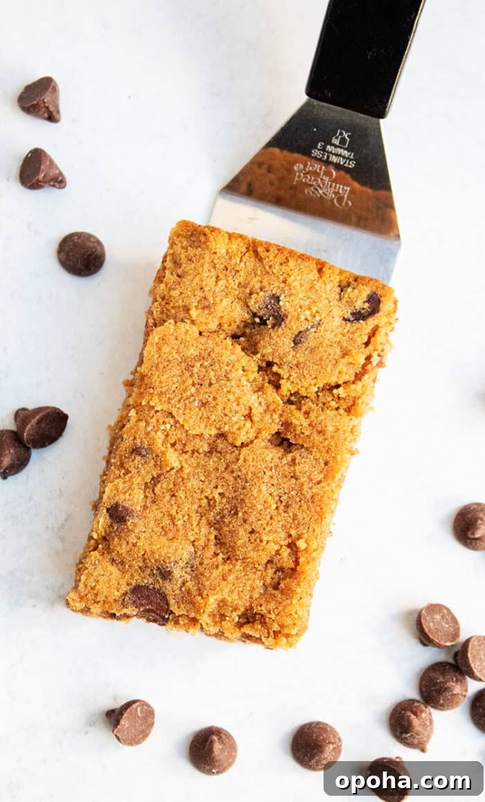 Keto Pumpkin Chocolate Chip Cookie Recipe for Fall Treats 15 overhead view of keto pumpkin chocolate chip cookie on spatula