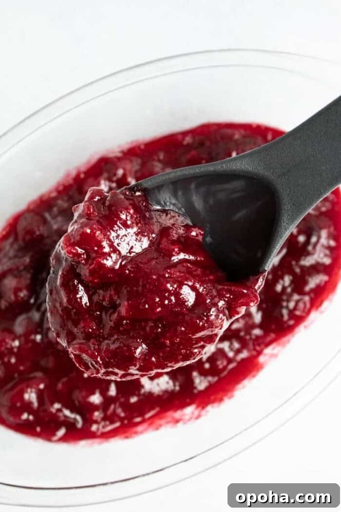 Keto Pumpkin Chocolate Chip Cookie Recipe for Fall Treats 16 keto cranberry sauce in bowl with serving spoon over bowl to serve
