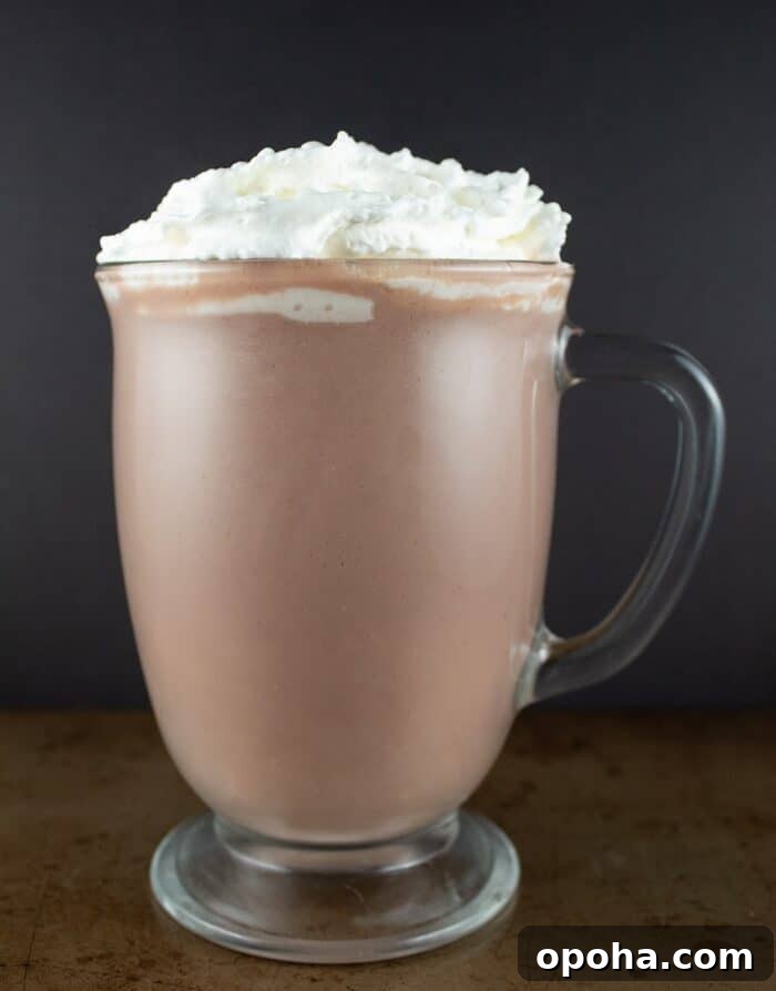 Keto Pumpkin Chocolate Chip Cookie Recipe for Fall Treats 21 keto hot chocolate against a black background with a ton of whipped cream on top