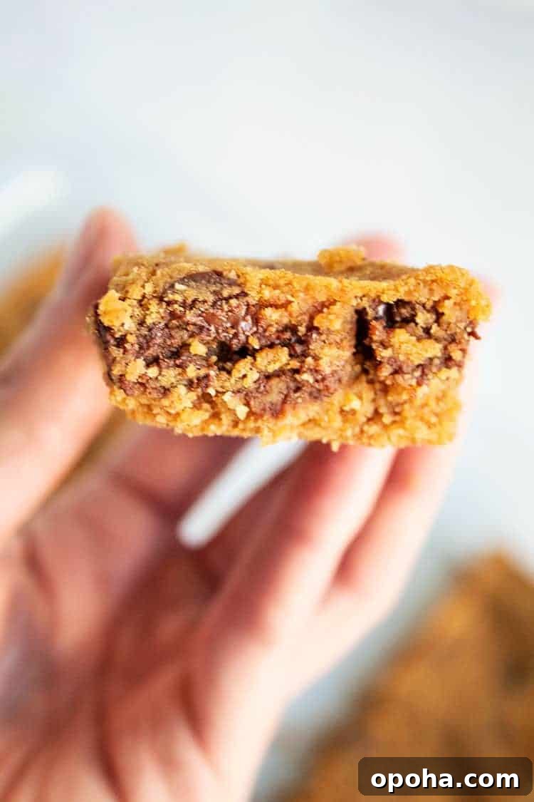 Keto Pumpkin Chocolate Chip Cookie Recipe for Fall Treats 5 hand holding keto pumpkin chocolate chip cookies