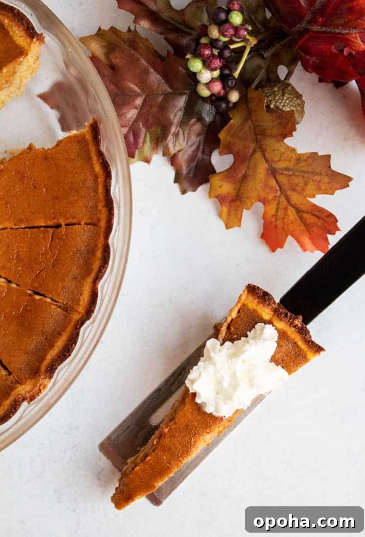 Keto Pumpkin Chocolate Chip Cookie Recipe for Fall Treats 6 thin slice of keto pumpkin pie next to fall foliage
