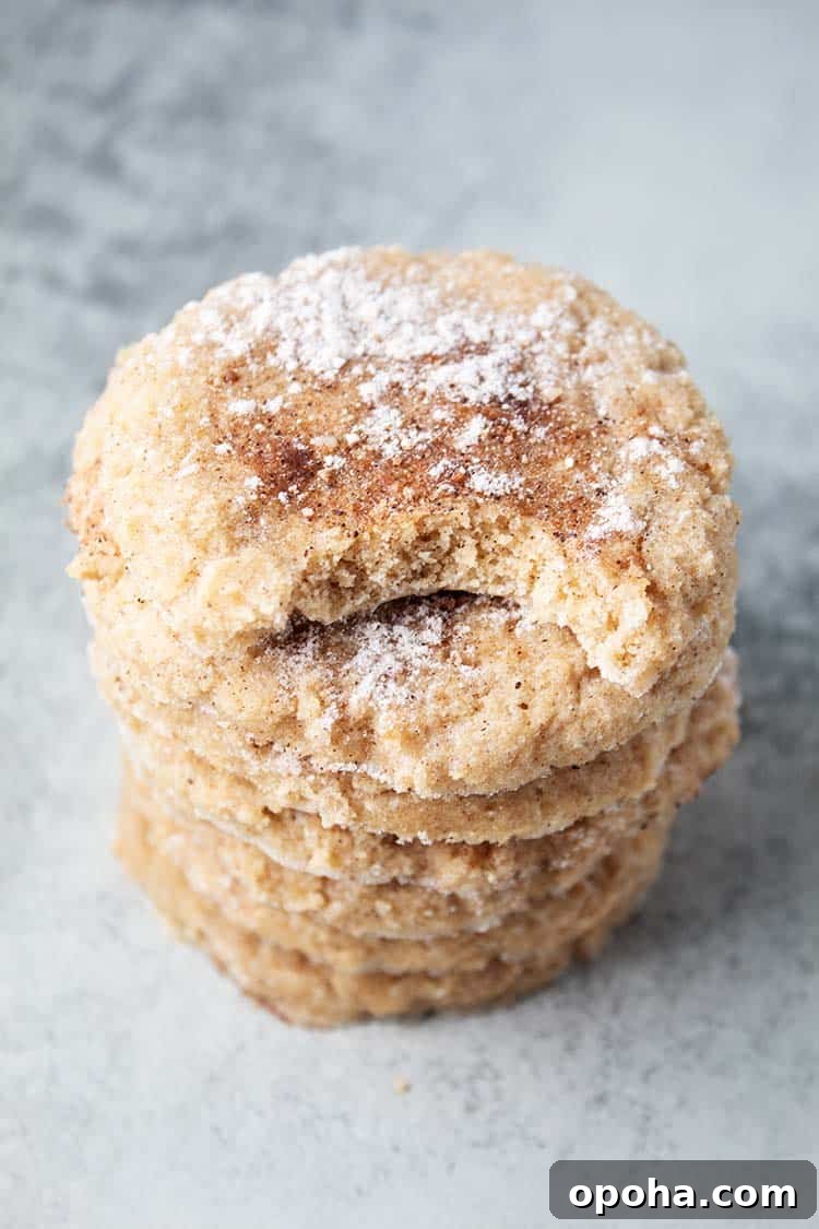 Keto Pumpkin Chocolate Chip Cookie Recipe for Fall Treats 10 stack of keto snickerdoodles cookies on countertop