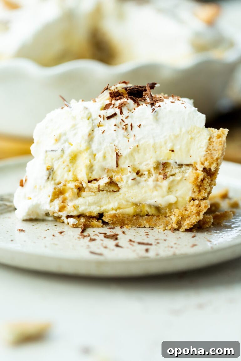 Nilla Wafer Banana Pudding Pie Recipe with Creamy Filling 2 a photo of a large slice of double layered banana pudding pie topped with whipped cream and shaved chocolate