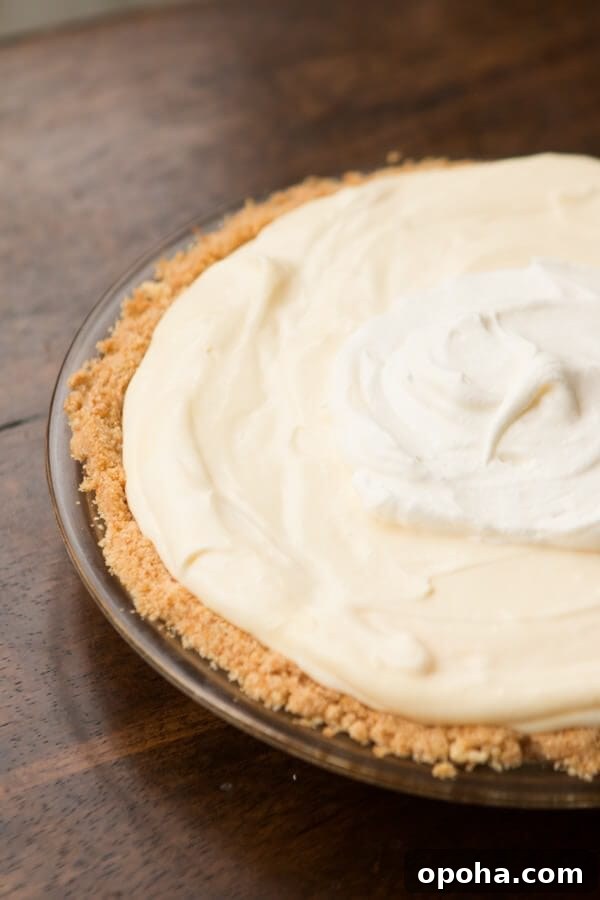 Nilla Wafer Banana Pudding Pie Recipe with Creamy Filling 11 Easy No Bake Banana Cream Pie with a delicious nilla wafer crust ohsweetbasil.com