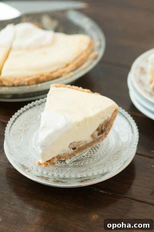 Nilla Wafer Banana Pudding Pie Recipe with Creamy Filling 13 Easy No Bake Banana Cream Pie with a delicious nilla wafer crust ohsweetbasil.com