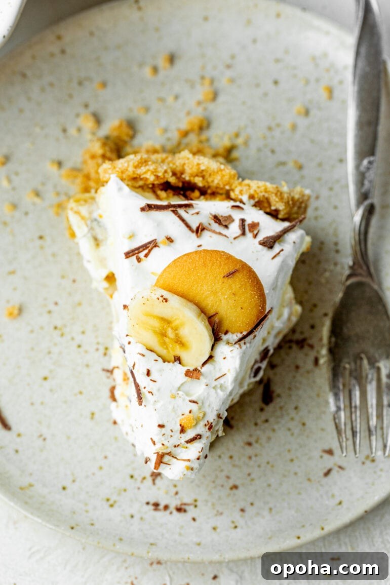 Nilla Wafer Banana Pudding Pie Recipe with Creamy Filling 7 a photo taken over the top of a slice of banana cream pudding pie topped with a slice of banana and a nilla wafer and chocolate shavings