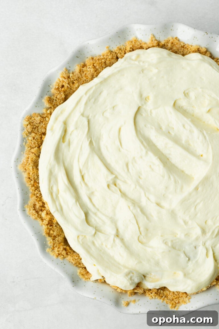 Nilla Wafer Banana Pudding Pie Recipe with Creamy Filling 8 a photo of a creamy banana pudding pie with a Nilla wafer crust in a white pie dish