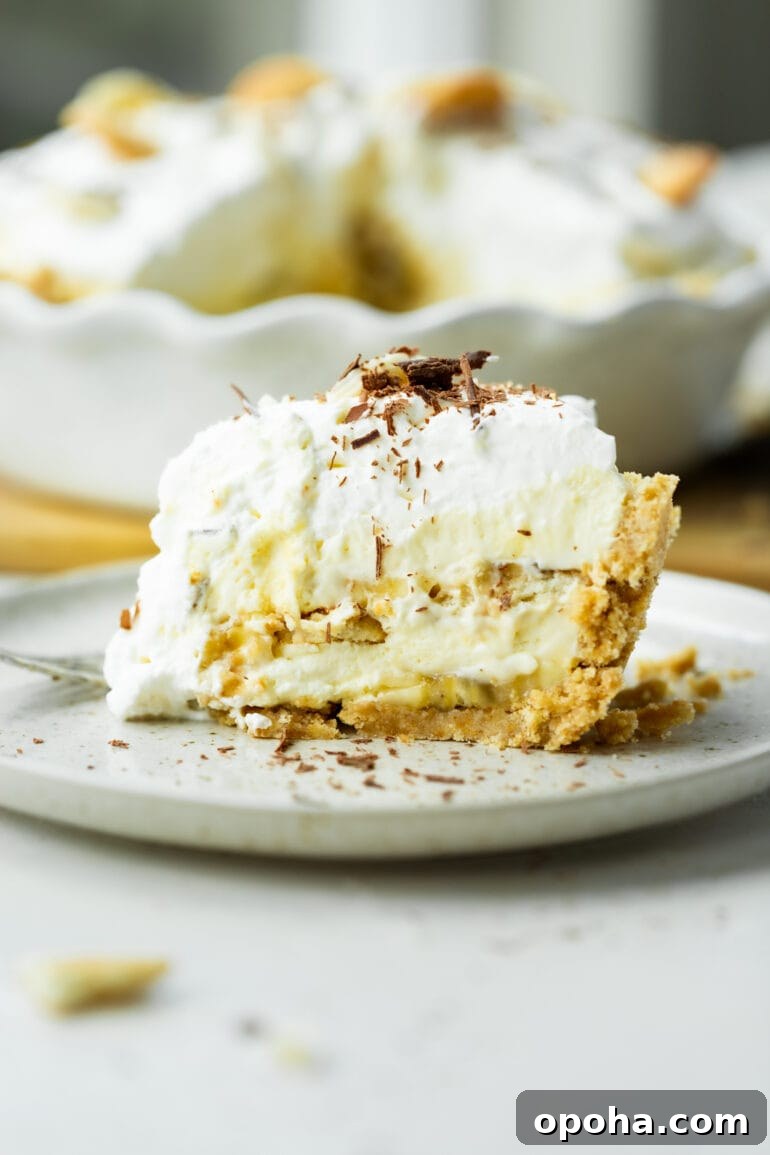 Nilla Wafer Banana Pudding Pie Recipe with Creamy Filling 9 a photo of a slice of banana pudding cream pie sitting on a dessert plate so you can see the cross-section of the slice