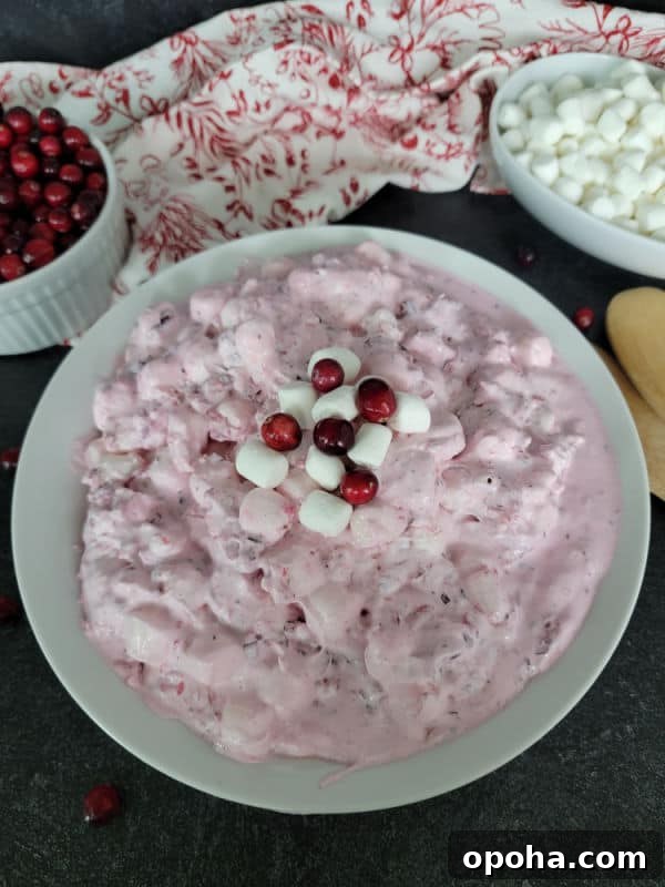 cranberry fluff salad in a white bowl
