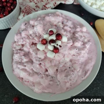 Cranberry Fluff Salad in a white bowl next to cranberries