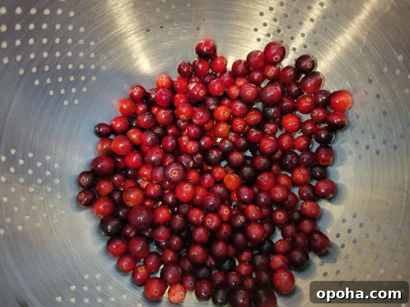 Fresh cranberries in a colander for cranberry salad