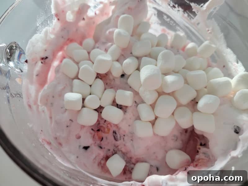 mini marshmallows on cool whip cranberry salad for cranberry fluff salad