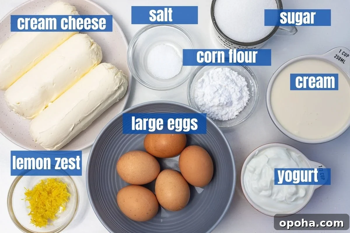Basque Cheesecake with Greek Yogurt: Creamy Burnt-Surface Recipe 3 All 8 ingredients needed for a San Sebastian or burnt Basque cheesecake from above and labelled